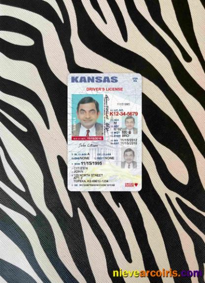 USA Kansas driving license photolook